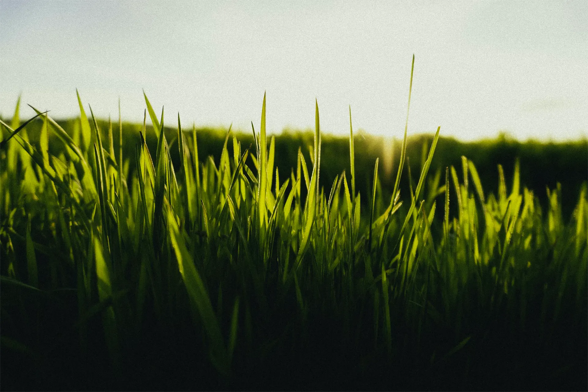 Certificats verts pour les panneaux solaires en Wallonie - EmaxSolar